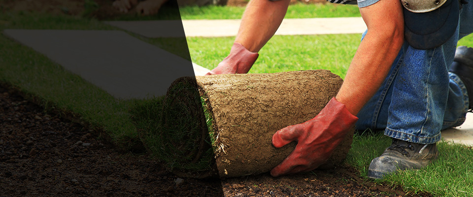 Pawcatuck Landscapers